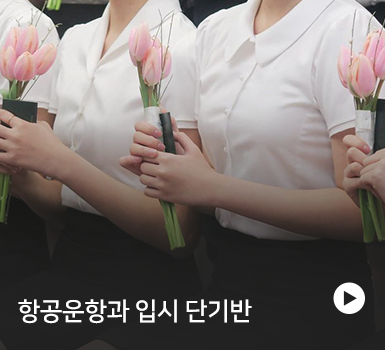 남자승무원 스튜어드